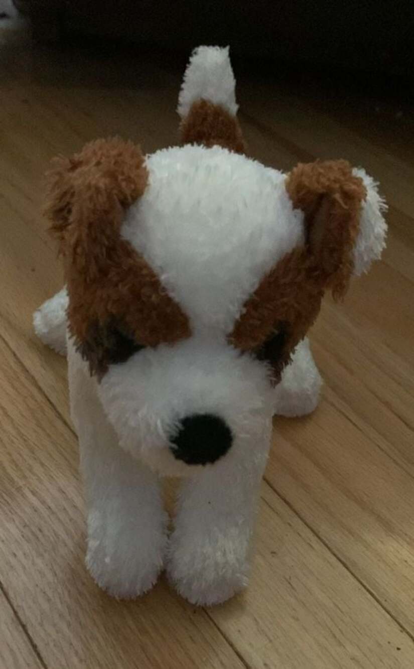 Douglas Jack Russell Terrier Plush Toy with We Can Do That Collar